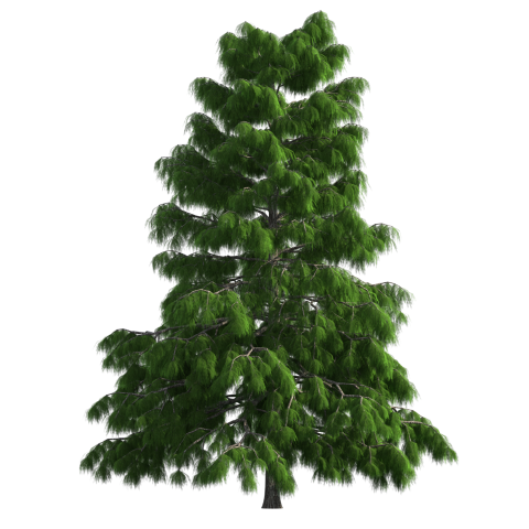 https://image-assets.jianzhuxuezhang.com/jzxz_photo/green_tree_cutout/0ce67106-7eb4-41c5-b0a8-4ae7c26b7367.png?x-tos-process=image/resize,w_480